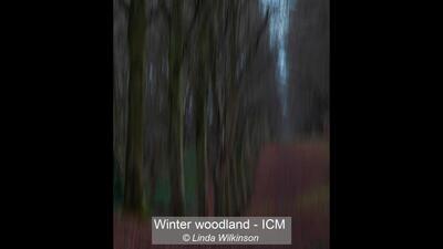 03_Winter woodland - ICM_Linda Wilkinson