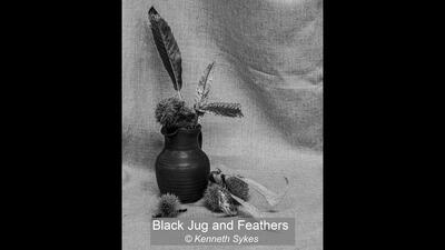 Black Jug and Feathers