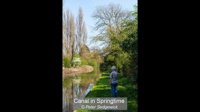 Canal in Springtime
