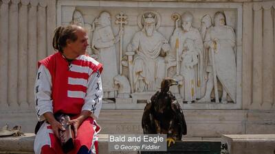 01_Bald and Eagle_George Fiddler