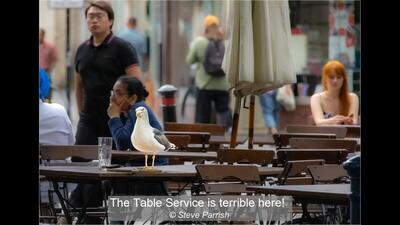 The Table Service is terrible here!