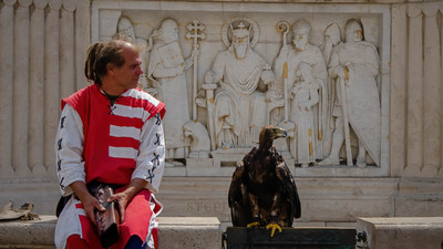 Bald and Eagle