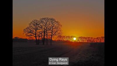 Dying Rays