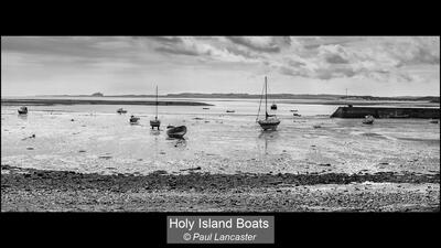 Holy Island Boats