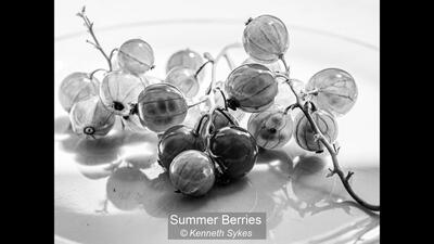 Summer Berries