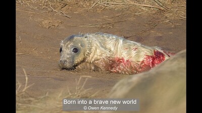 Born into a brave new world