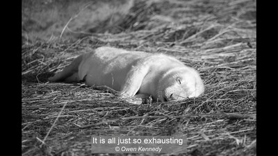 It is all just so exhausting