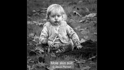 Mole skin suit