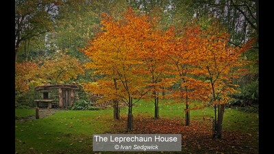 The Leprechaun House