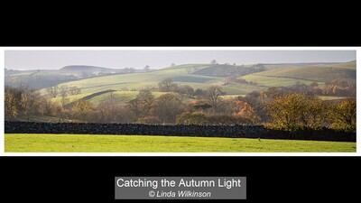 Catching the Autumn Light