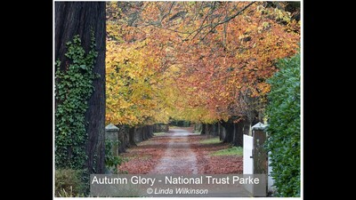 Autumn Glory - National Trust Park