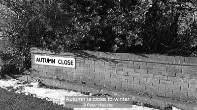 Autumn is close to winter