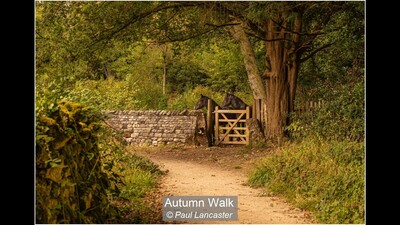 Autumn Walk