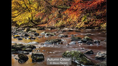 Autumn Colour