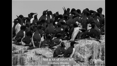 Not a lot of room left