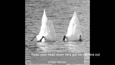 Keep your head down he's got his camera out