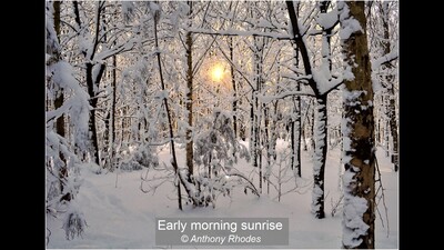 Early morning sunrise