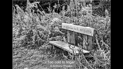 Too cold to linger