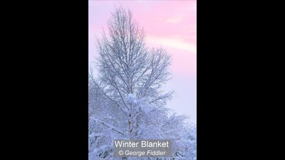 Winter Blanket