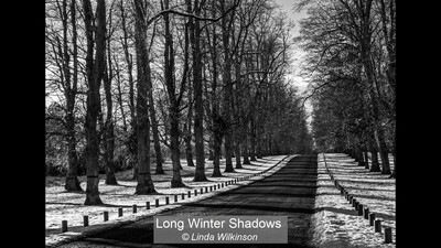 Long Winter Shadows