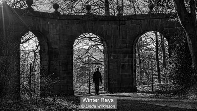 Winter Rays