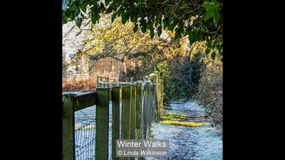 Winter Walks