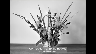 Corn Dolly in a Spring Basket