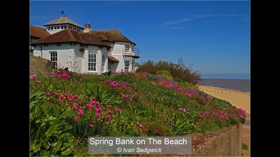 Spring Bank on The Beach