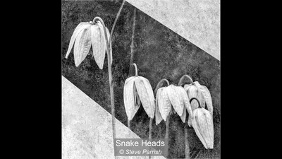 Snake Heads