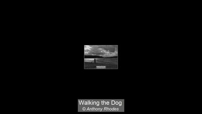 Walking the Dog