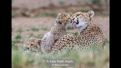 A kiss from mum.