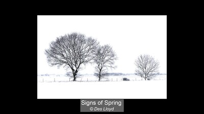 Signs of Spring