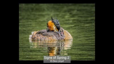 Signs of Spring 2