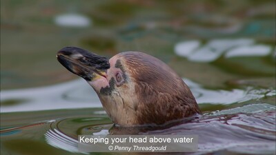 Keeping your head above water