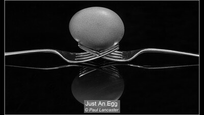 Just An Egg