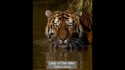 Lady of the lake.
