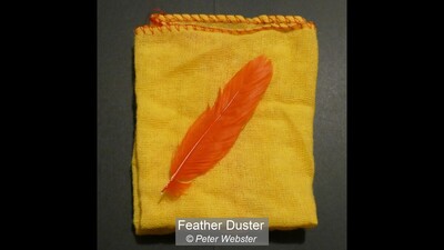 Feather Duster