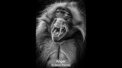 Anger
