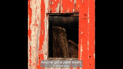 Anyone got a paint brush