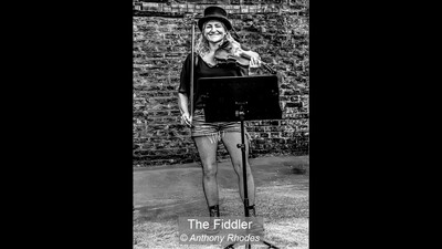 The Fiddler
