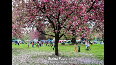 Spring Fayre