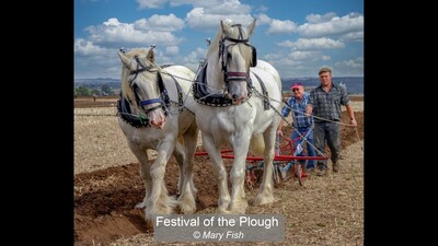 Festival of the Plough