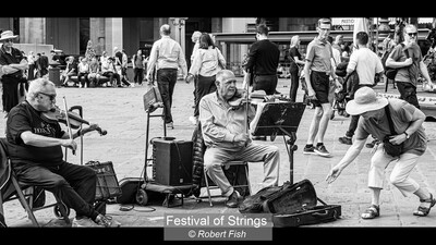 Festival of Strings