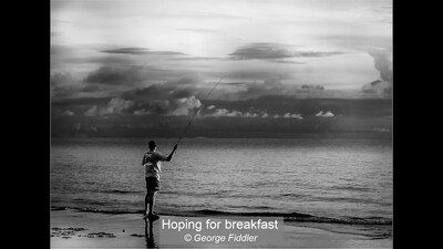 Hoping for breakfast