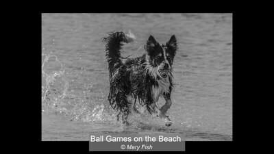 Ball Games on the Beach