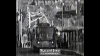 Stop and Stare