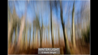 14_WINTER LIGHT_Martin Wright