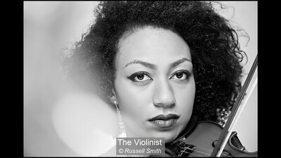 The Violinist