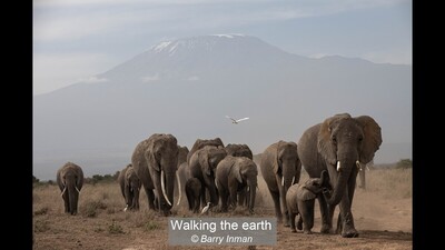 Walking the earth