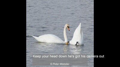 Keep your head down he's got his camera out